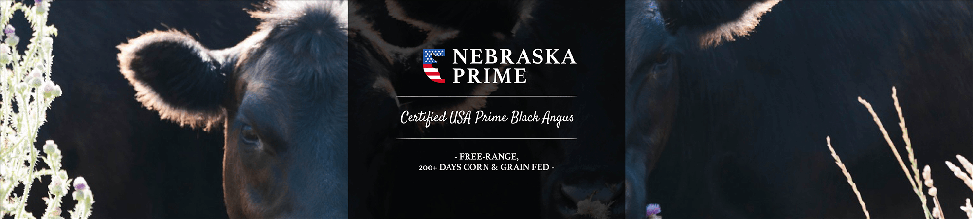 Nebraska Prime USA