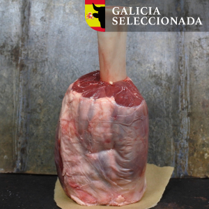 Beef Hammer Rubia Gallega
