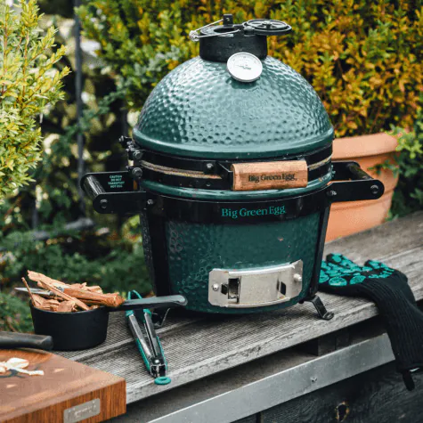 Big Green Egg Mini + Carrier