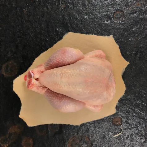 Poussin