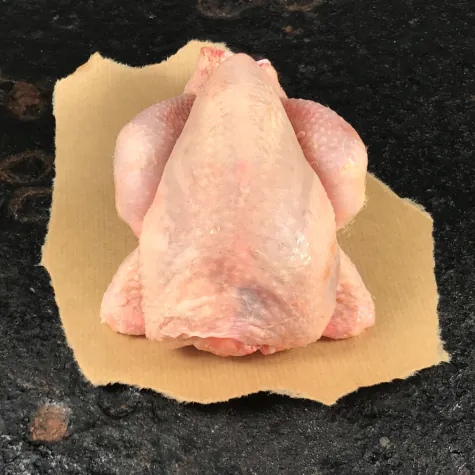 Poussin