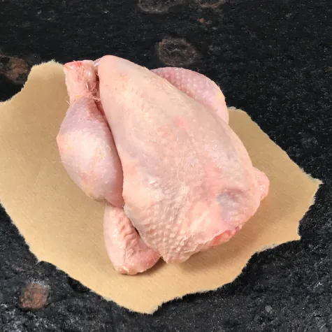Poussin