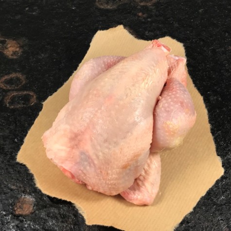 Poussin