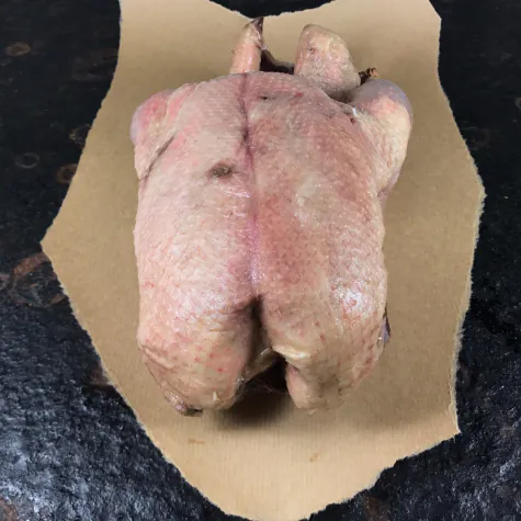 Wilde gans heel