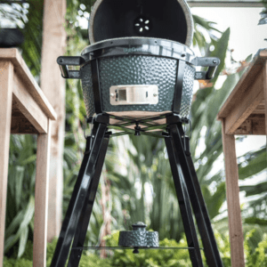 Portable Nest Mini Max