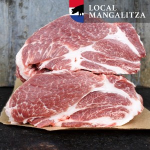 procureur mangalitza