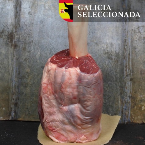 bc Beef Hammer Rubia Gallega