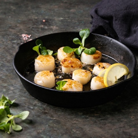 St jacobsschelpen coquilles