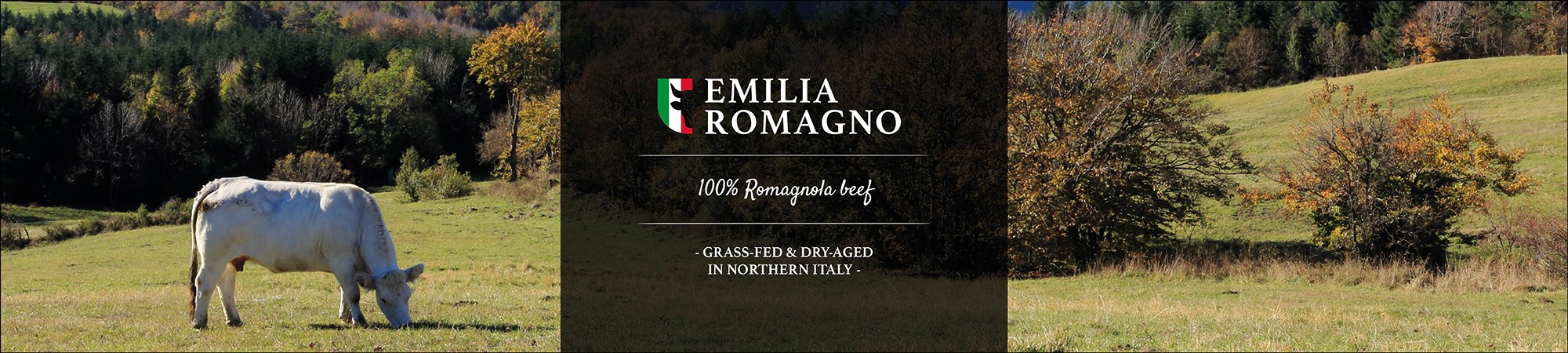 Emilia Romagnola ITA