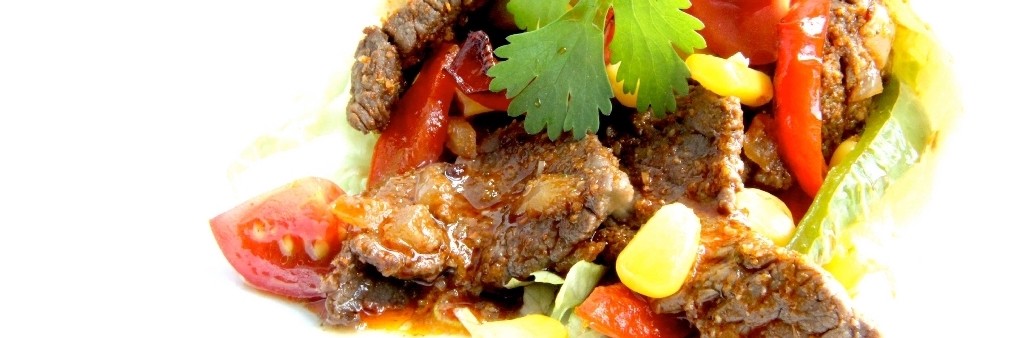 Tex Mex Tortillas with Skirt Steak (The Man With The Pan)