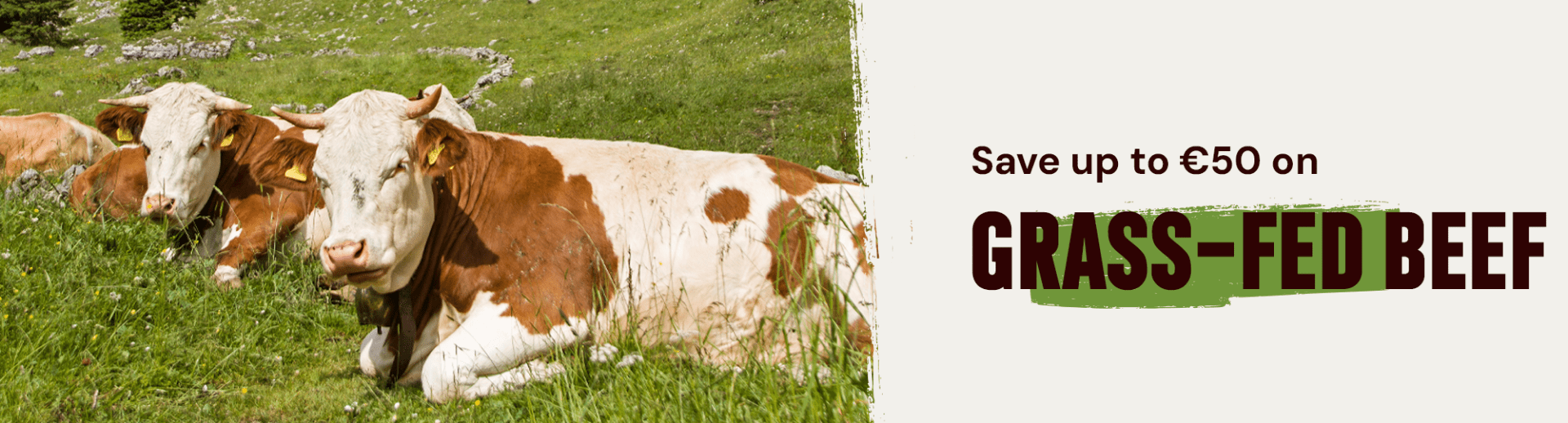 Grass-Fed Week 🌱 Discounts up to €50 off on grass-fed